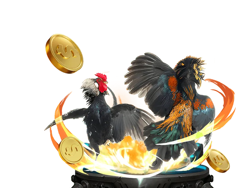 Tổng quan nền tảng 79King